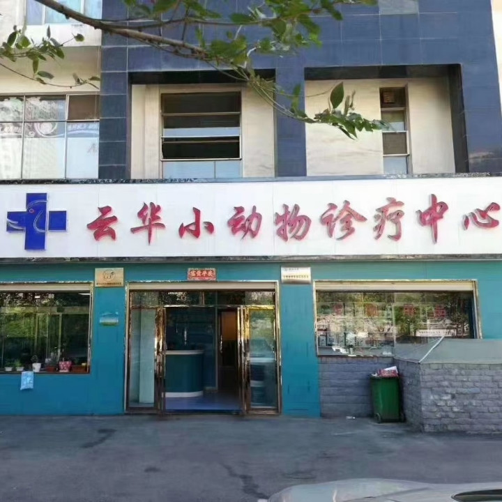 云华小动物诊疗中心（国际村店）