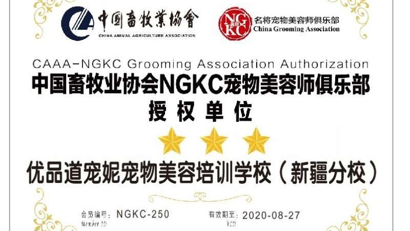 NGKC标准C级美容师培训