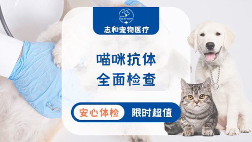 【猫咪】猫咪抗体全面检查