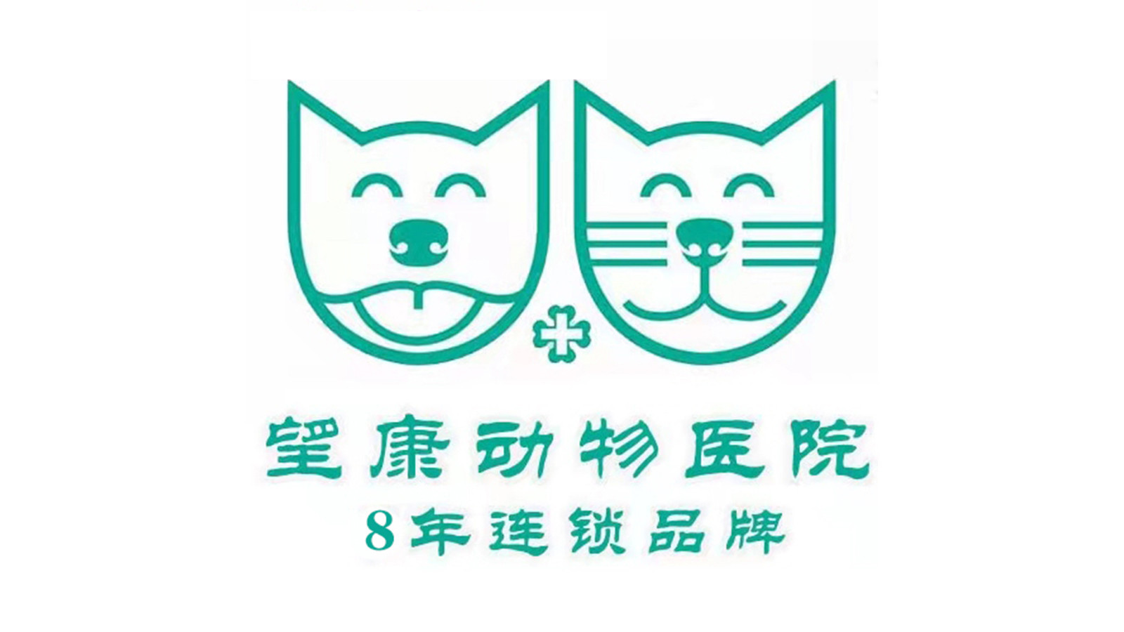 超声波麻醉猫洁牙