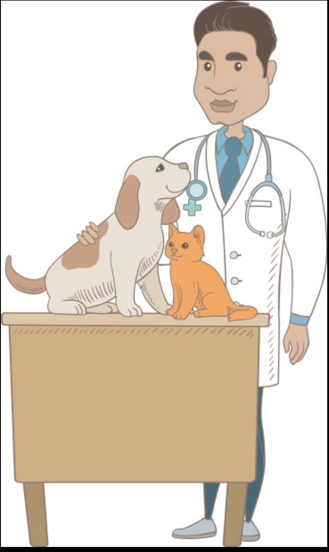 犬猫以色列三联抗体检查