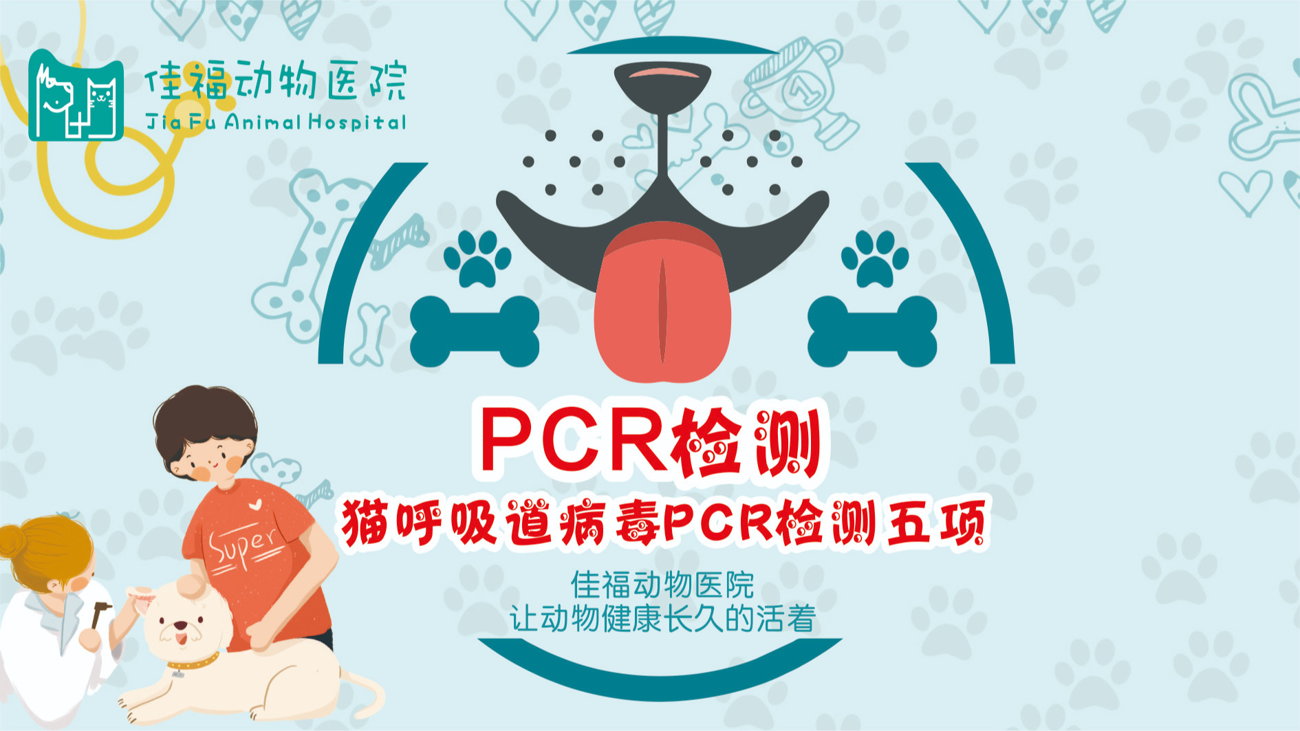 猫呼吸道病原PCR检测套餐