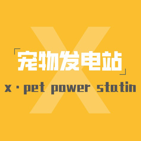 x宠物发电站•猫舍•犬舍（街道口店）