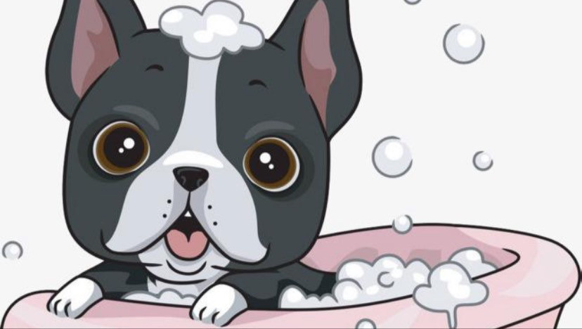 【狗狗洗澡】大型犬洗护套餐