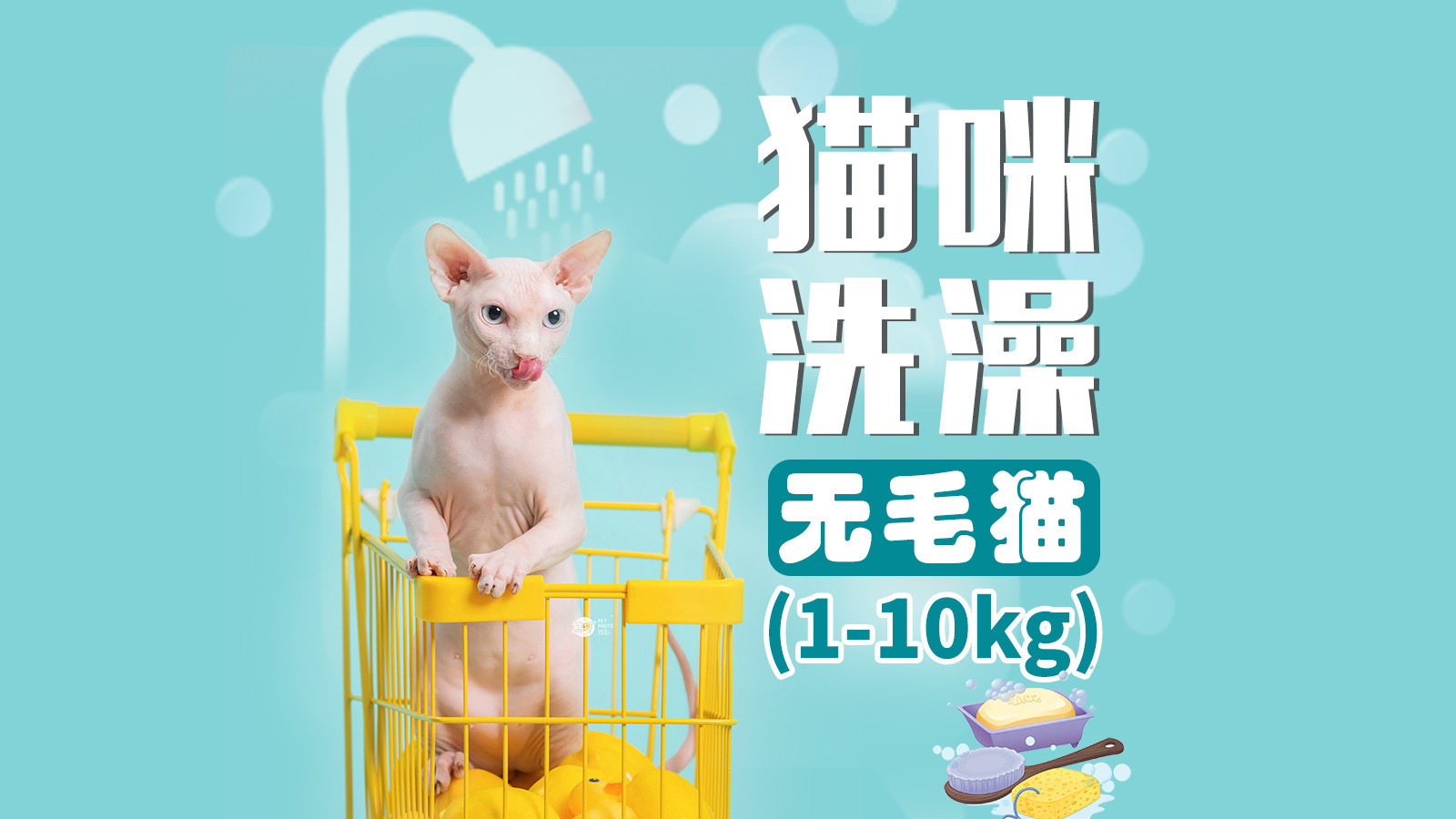 猫咪宠物洗澡秋冬润肤洗护套餐（无毛）