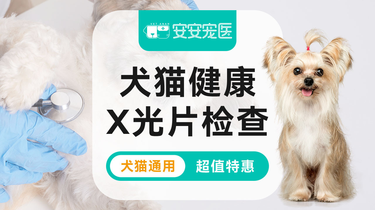 犬猫健康筛查拍片