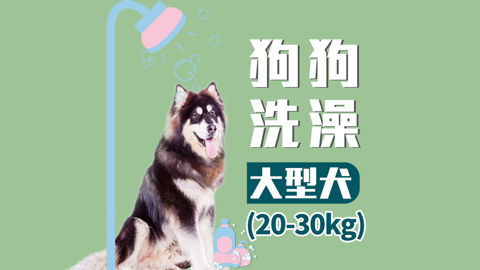 狗狗宠物洗澡秋冬润肤洗护套餐（20kg-30kg）