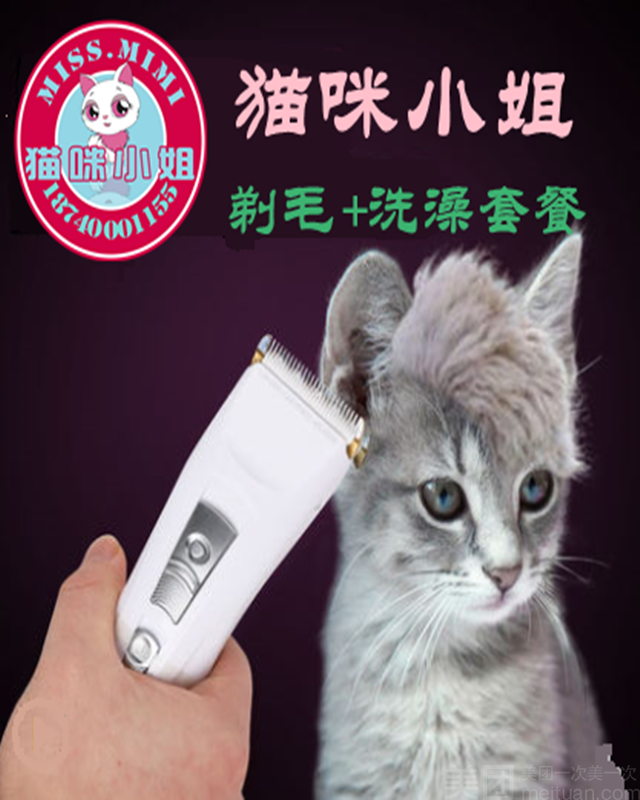 短毛猫剃毛+洗澡+护理套餐