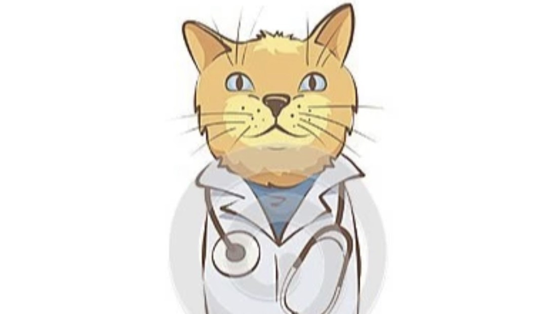 [猫咪到家体检]疫苗＋驱虫＋体检