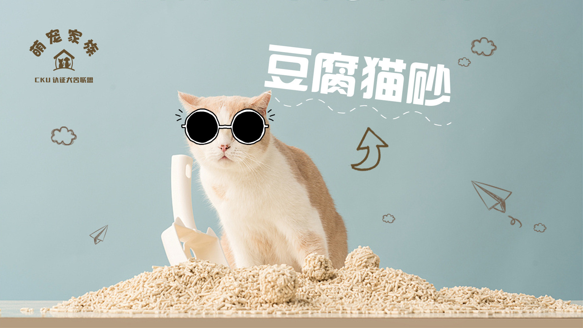 【特惠】洒家2·5KG猫砂+猫砂盆