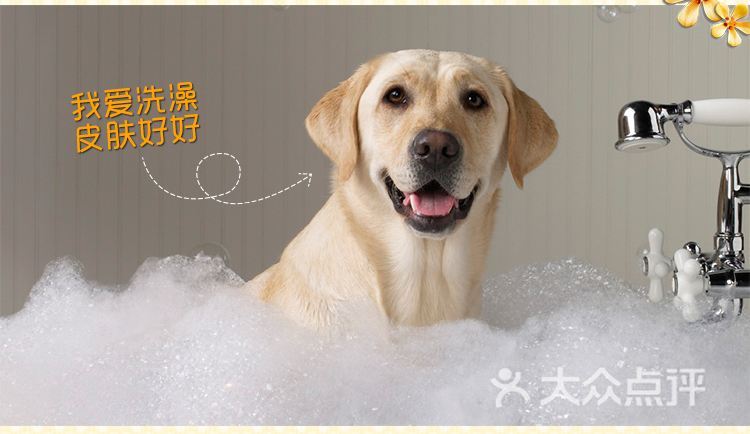 【20-30KG】狗狗洗澡清洁