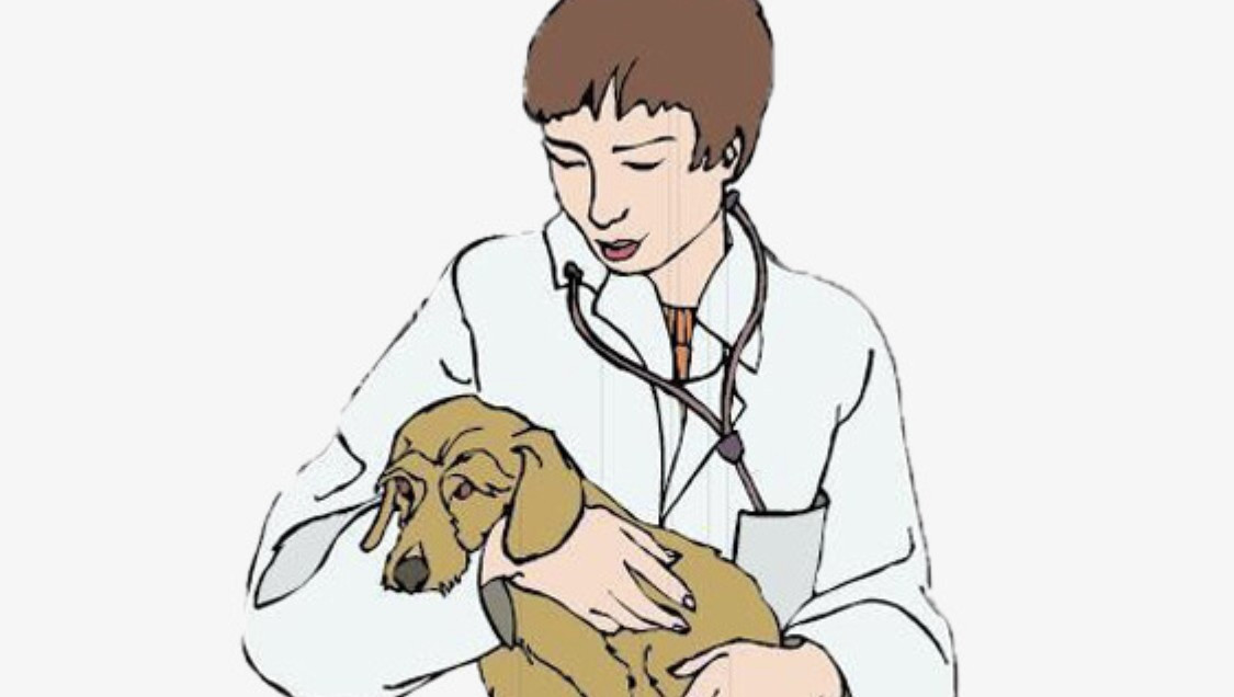 [狗狗到家体检]疫苗＋驱虫＋体检