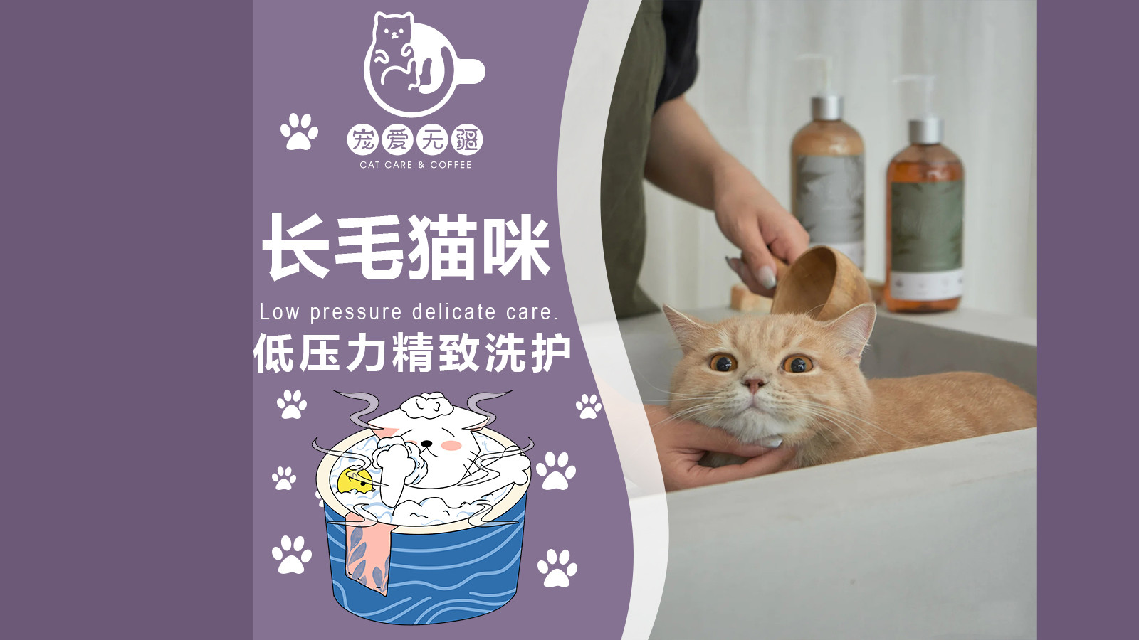 预售｜长毛猫咪低压力精致洗护·不限体重
