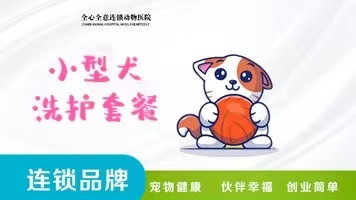 小型犬洗护