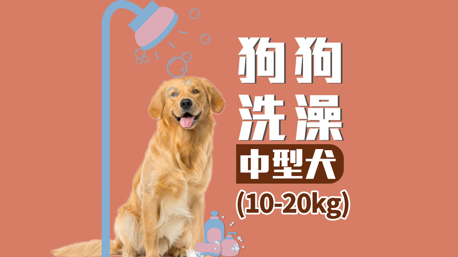狗狗宠物洗澡秋冬润肤洗护套餐（10kg-20kg）