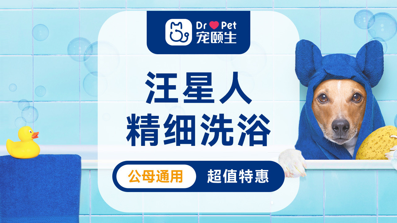 小犬洗澡体验券（6kg以内）