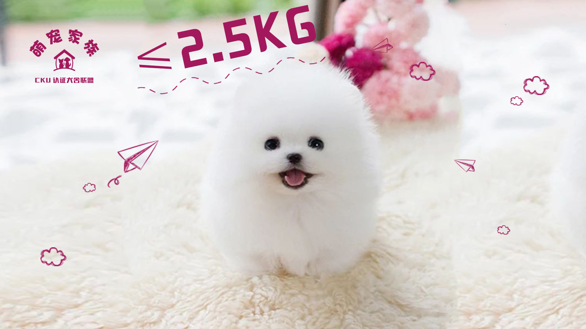 【驱虫】狗体重≤2 5KG