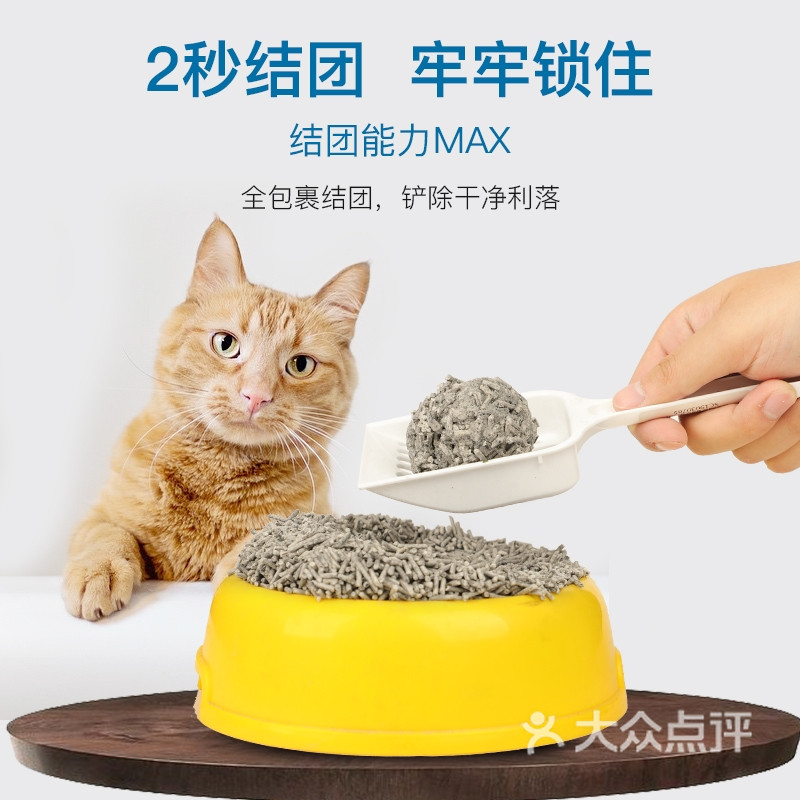 猫砂