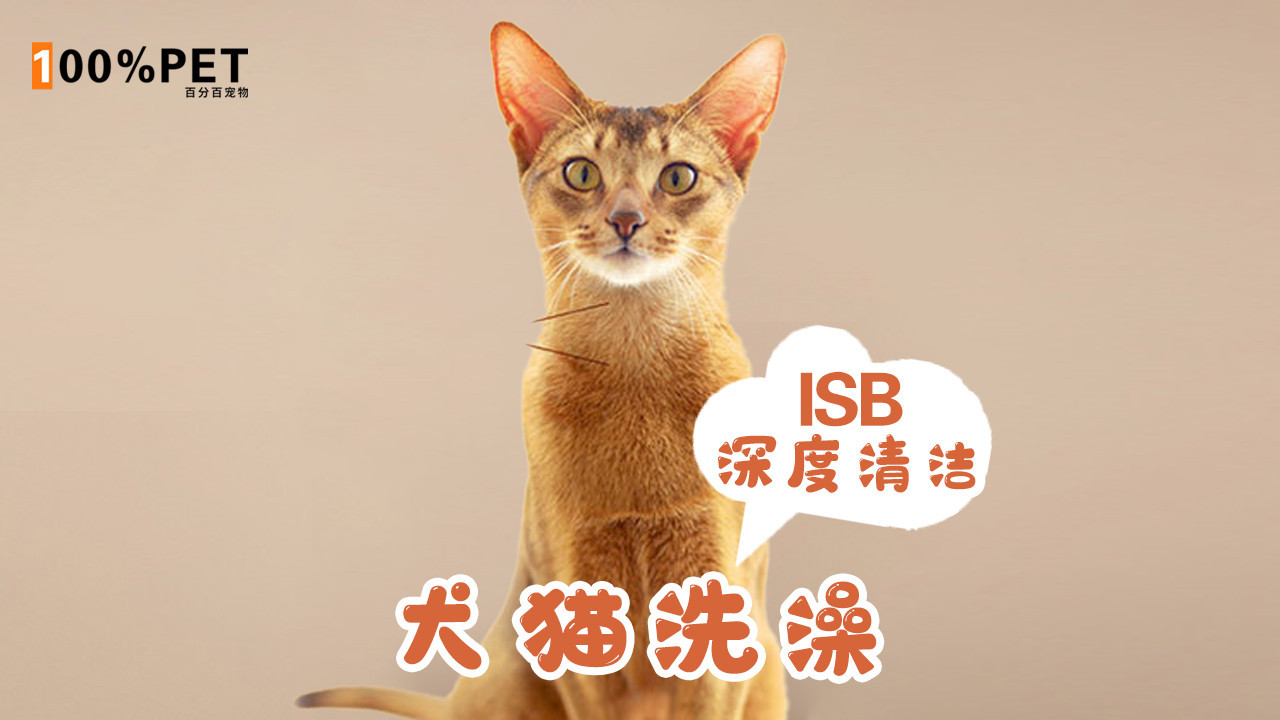 ISB耳道深度清洁