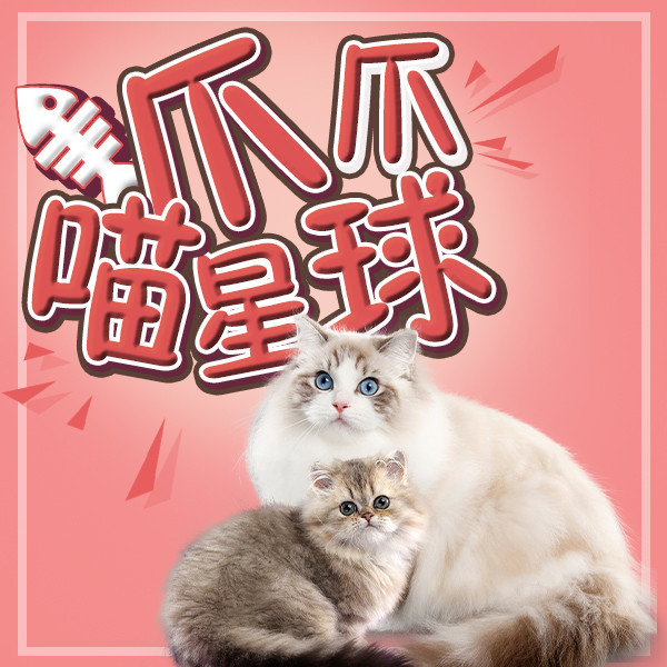 爪爪喵星球·撸猫·猫舍（南翔印象城店）