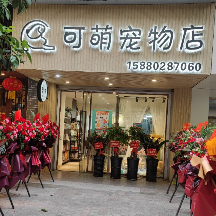 可萌宠物店