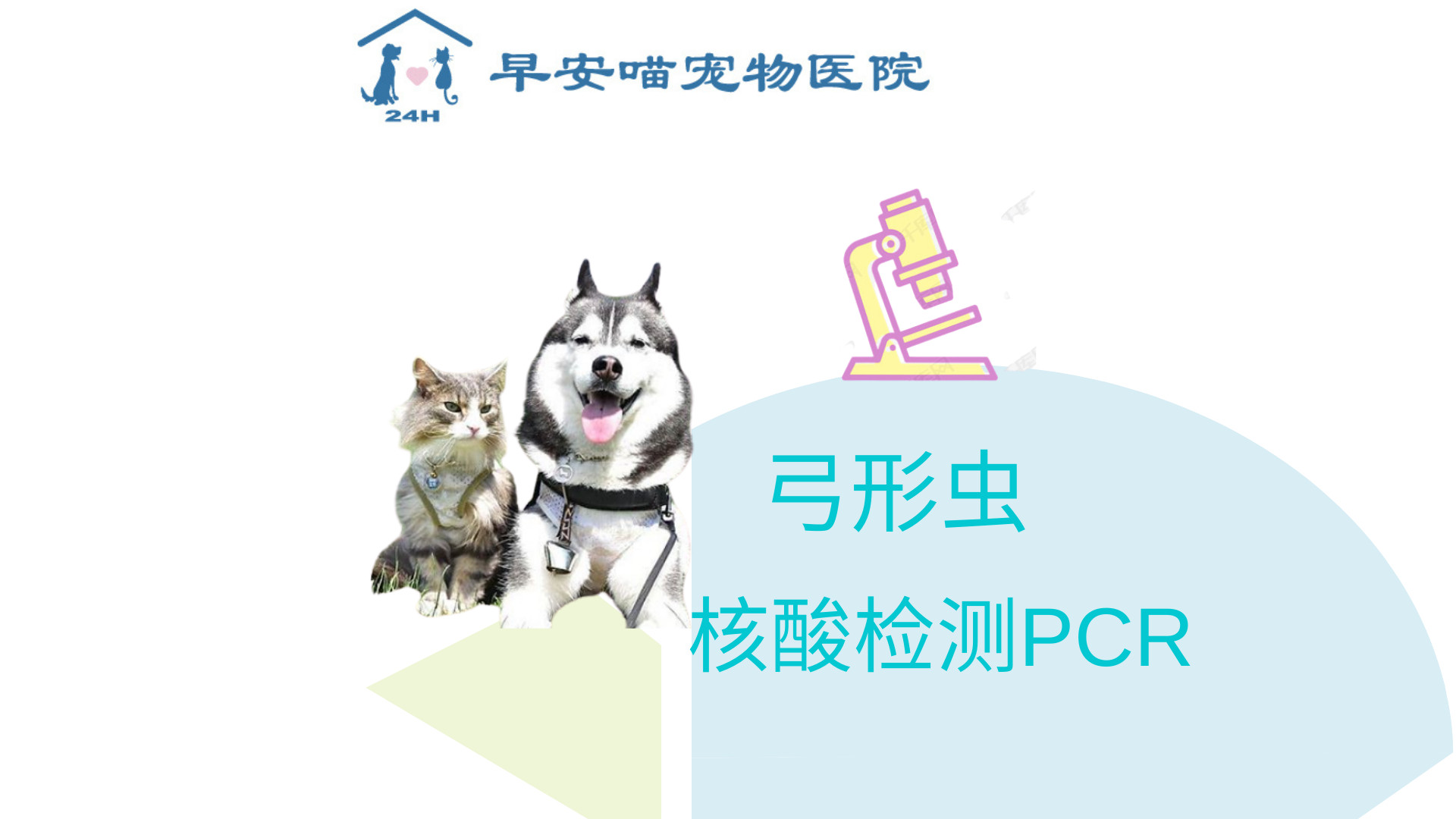 犬猫弓形虫核酸（PCR）检测