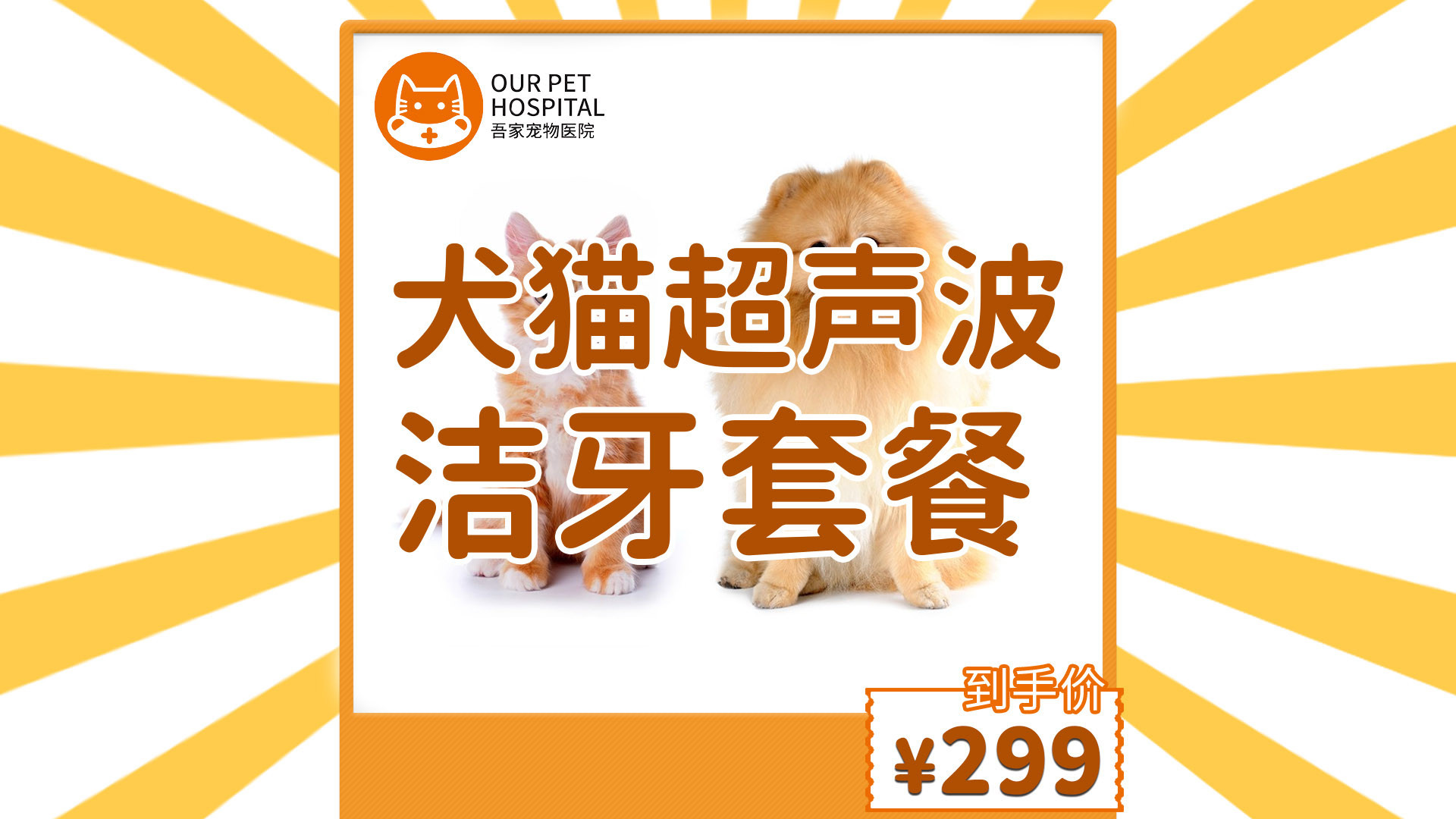 【宠物洁牙】犬猫超声波洁治套餐·预防口臭·减少疾病