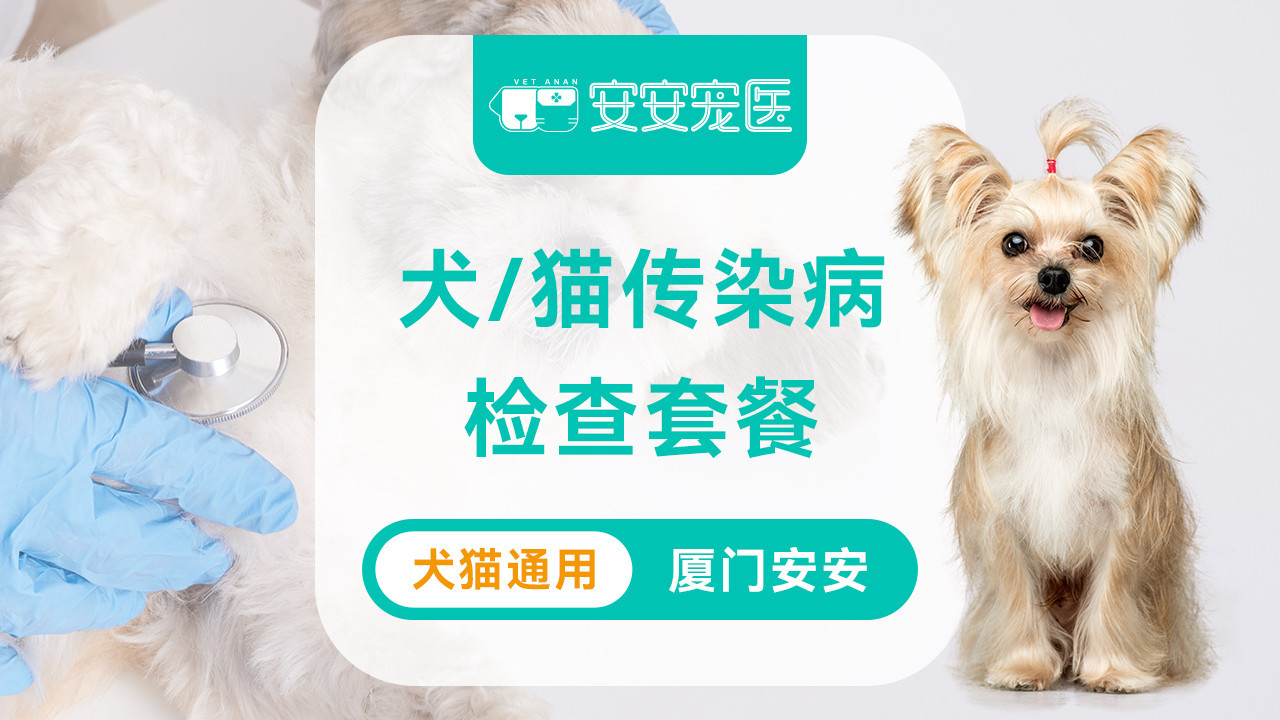 【安心】犬/猫传染病检查套餐