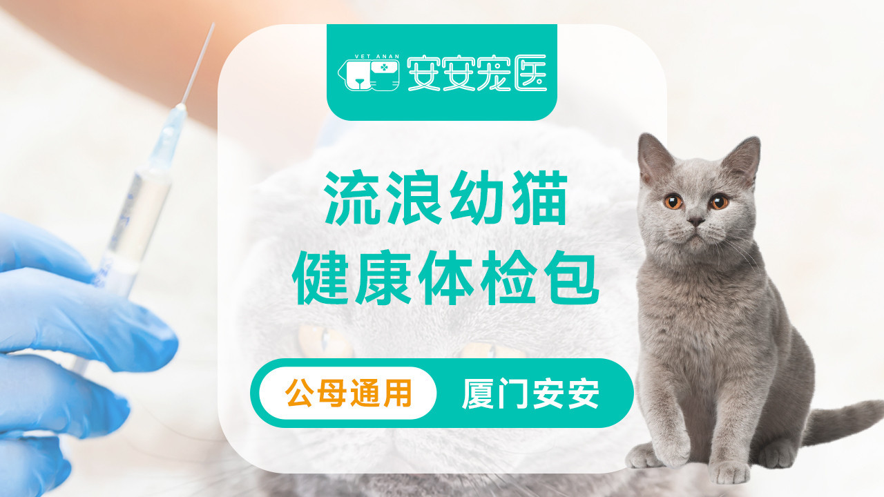 【安宠】流浪幼猫健康体检包