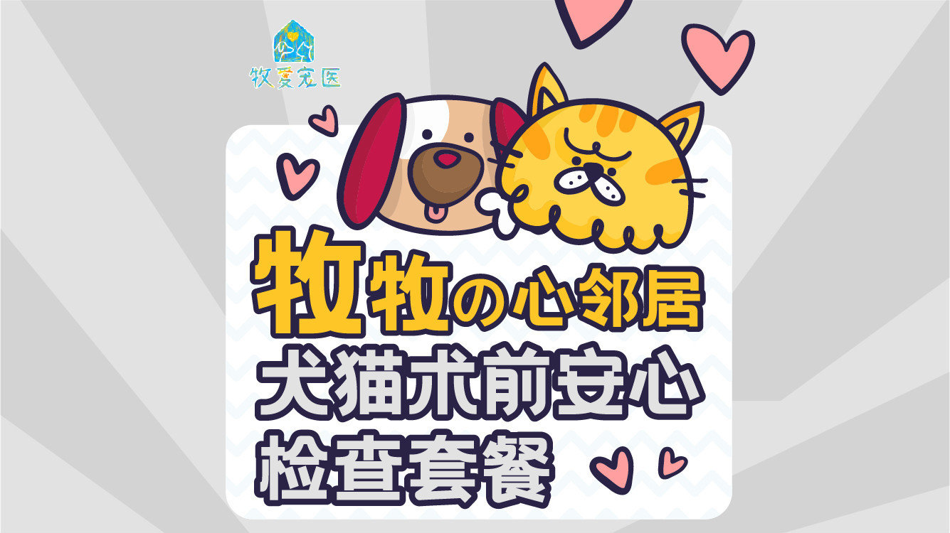 【夏日特惠】犬/猫术前安心检查套餐