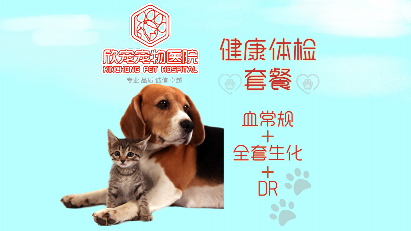 【全面体检】中老年犬/猫健康体检套餐