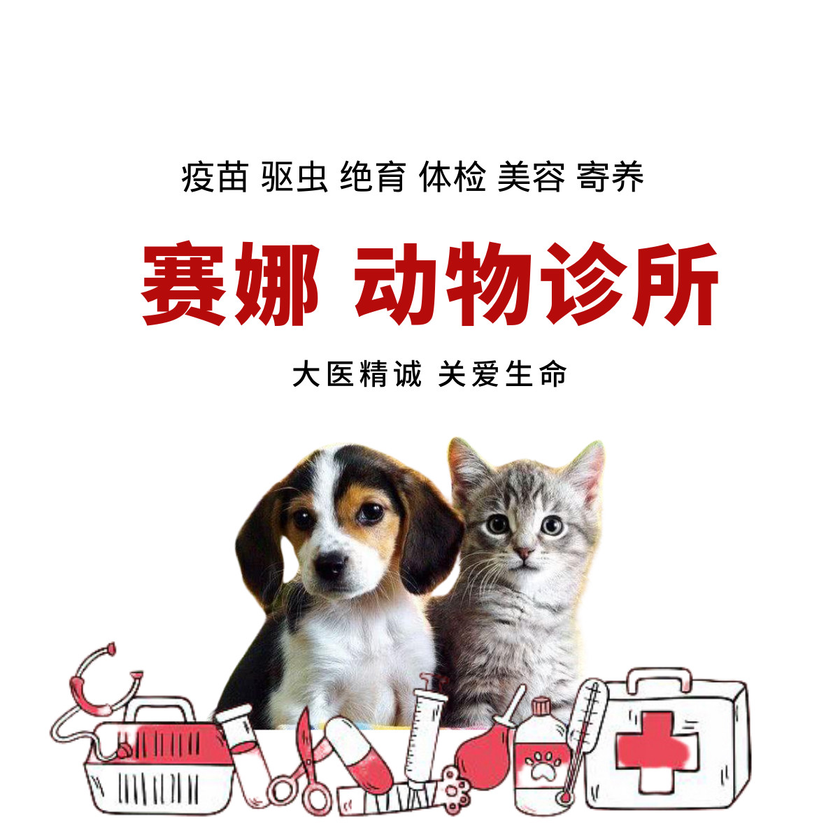 赛娜动物诊所（北京驻包头分店）